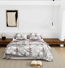 Wonderland 108" x 108" Cotton King Size Bedsheet Set with 2 Pillow Covers